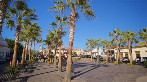 todos santos vacation rentals|Find Todos Santos vacation rentals.